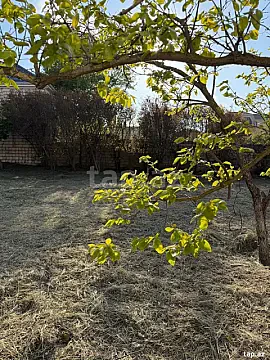 Satılır torpaq sahəsi — Bakı, Novxanı