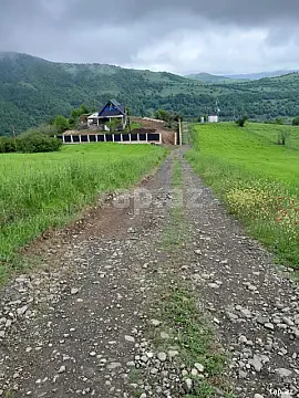 Satılır torpaq sahəsi — Lerik