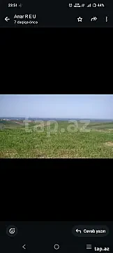 Satılır torpaq sahəsi — Şabran