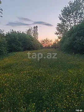 Satılır torpaq sahəsi — İsmayıllı