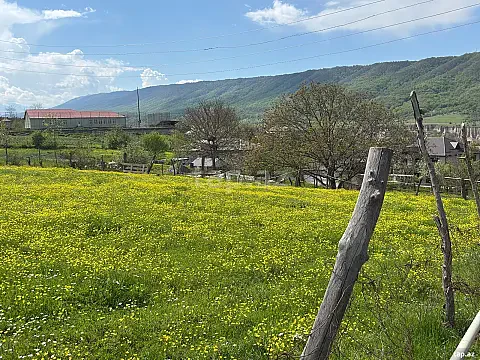 Satılır torpaq sahəsi — Qusar