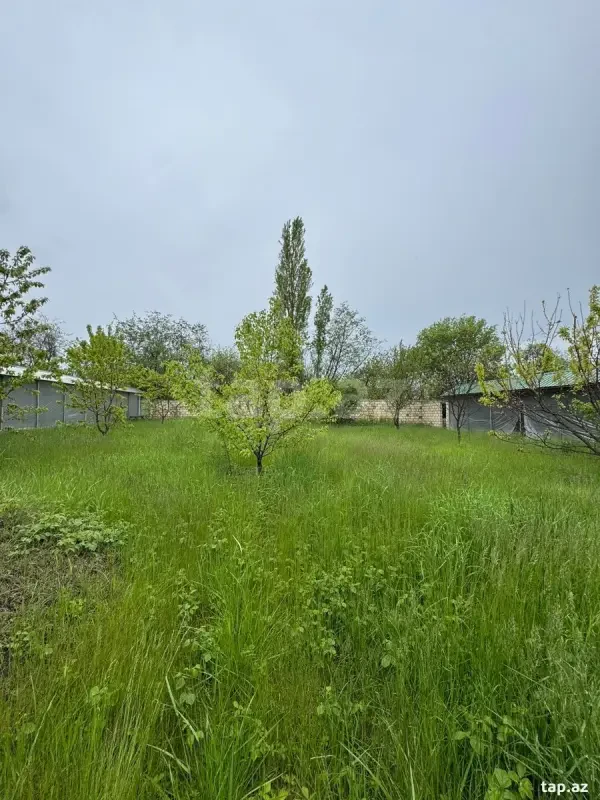 Satılır 2 otaqlı həyət evi 100 m²