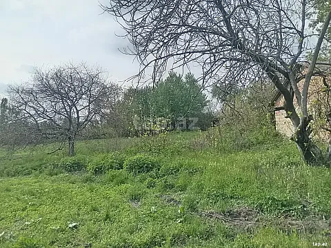 Satılır torpaq sahəsi — Şəki