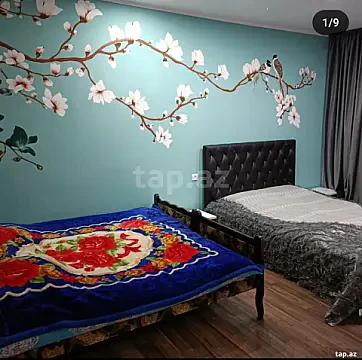Kirayə verilir 3 otaqlı həyət evi 100 m² — Zaqatala 3 otaq 100.00 m²