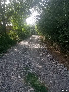 Satılır torpaq sahəsi — Qusar