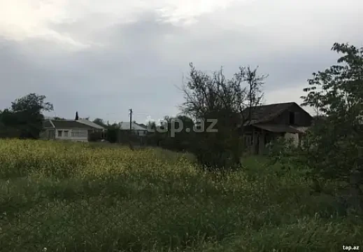 Satılır torpaq sahəsi — Tovuz