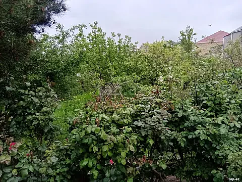 Satılır torpaq sahəsi — Sumqayıt