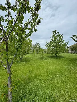 Satılır torpaq sahəsi — Qusar