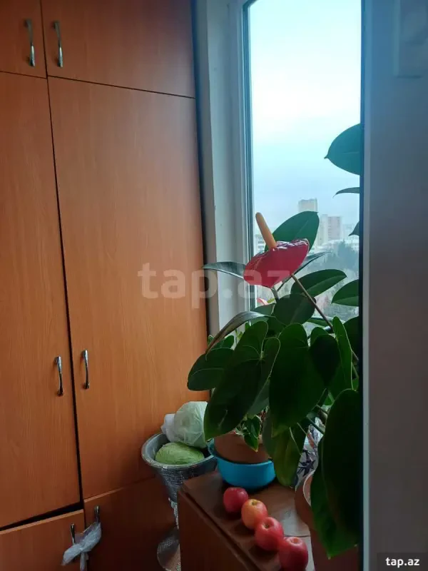 Satılır 4 otaqlı mənzil 100 m²