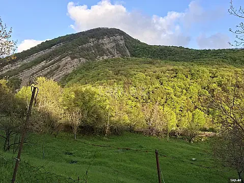 Satılır torpaq sahəsi — Şamaxı