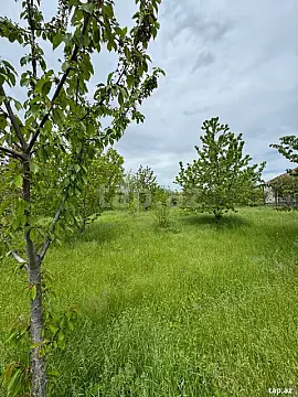 Satılır torpaq sahəsi — Qusar