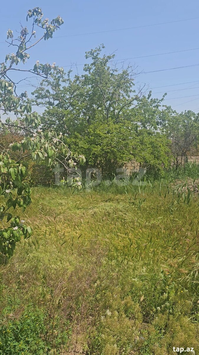 Satılır torpaq sahəsi