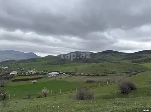 Satılır torpaq sahəsi — Tovuz