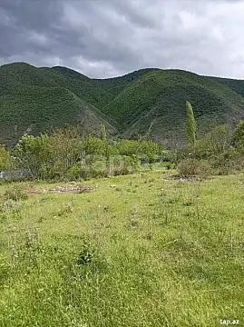 Satılır torpaq sahəsi — Goranboy