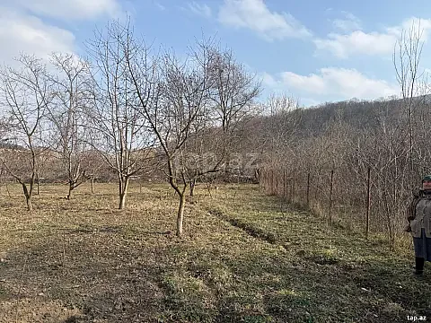 Satılır torpaq sahəsi — Quba