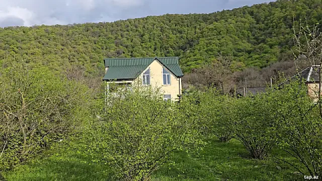 Satılır torpaq sahəsi — Zaqatala