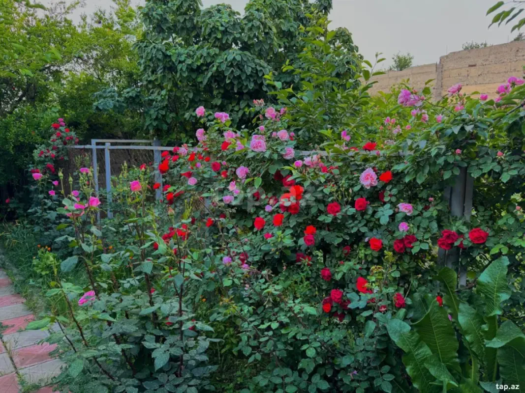 Satılır 4 otaqlı həyət evi 160 m²