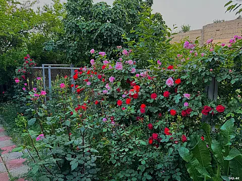 Satılır 4 otaqlı həyət evi 160 m² — Gəncə 4 otaq 160.00 m²