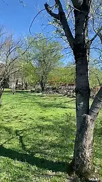 Satılır torpaq sahəsi — Qəbələ