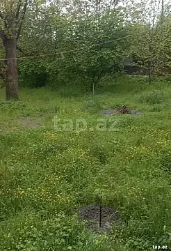 Satılır torpaq sahəsi — Qəbələ