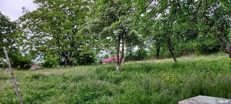 Satılır torpaq sahəsi — Lerik