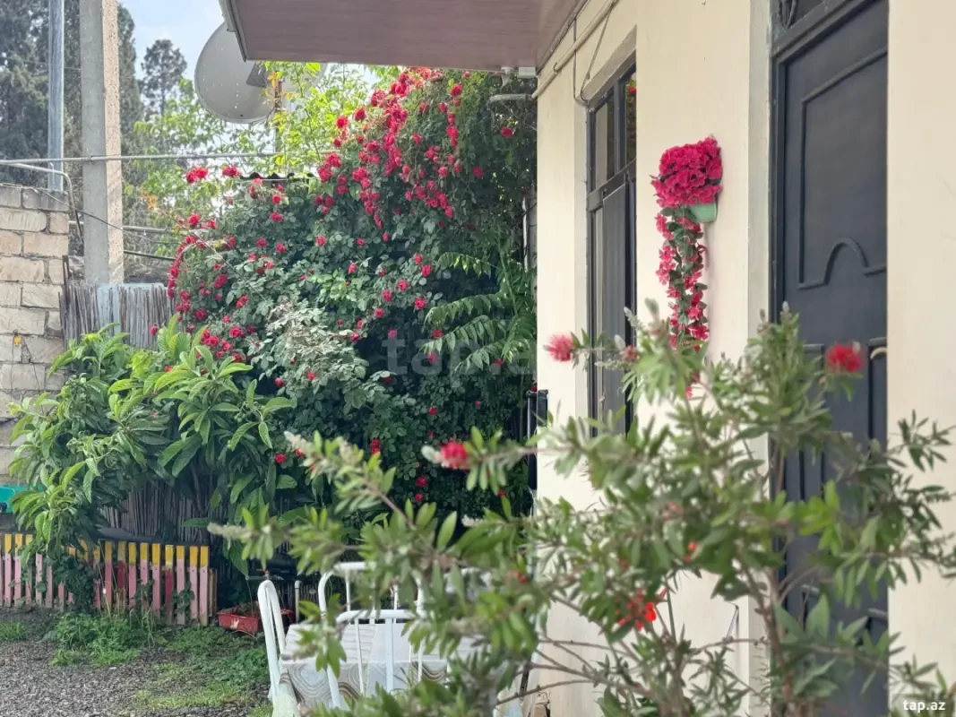Kirayə verilir 2 otaqlı həyət evi 38 m²