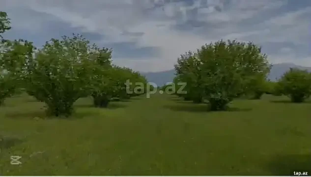 Satılır torpaq sahəsi — Qax