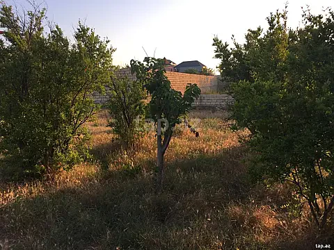 Satılır torpaq sahəsi — Sumqayıt, Novxanı