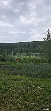 Satılır torpaq sahəsi — Qusar