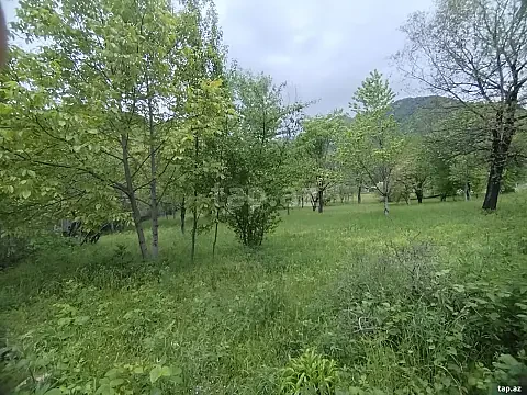 Satılır torpaq sahəsi — Şəki