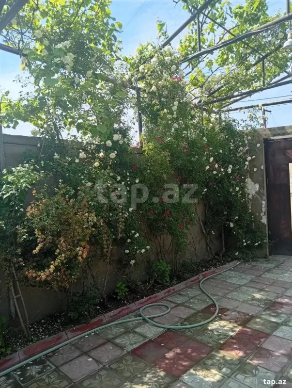 Satılır 3 otaqlı həyət evi 95 m²
