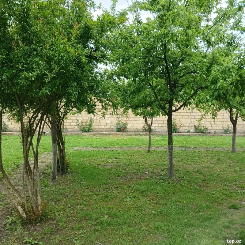 Kirayə verilir 3 otaqlı həyət evi 100 m²