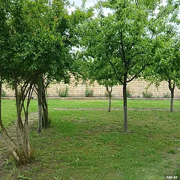Kirayə verilir 3 otaqlı həyət evi 100 m² — Oğuz 3 otaq 100.00 m²