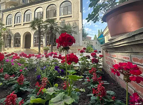 Satılır 7 otaqlı həyət evi 450 m² — Bakı, Xətai 7 otaq 450.00 m²