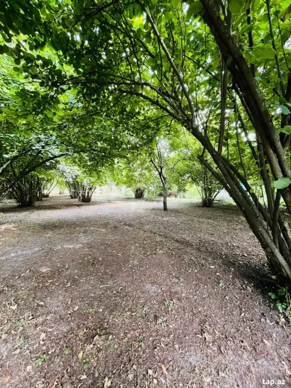 Satılır 4 otaqlı həyət evi 100 m²