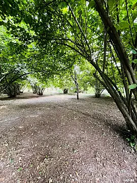 Satılır 4 otaqlı həyət evi 100 m² — Şəki 4 otaq 100.00 m²