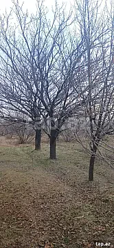 Satılır torpaq sahəsi — Ağstafa