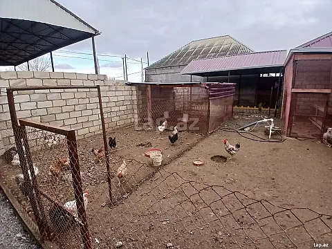 Satılır 4 otaqlı həyət evi 200 m² — Goranboy 4 otaq 200.00 m²