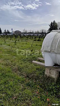 Satılır torpaq sahəsi — Astara