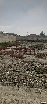Satılır torpaq sahəsi — Yevlax