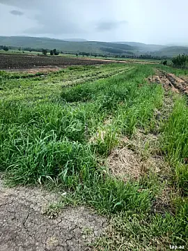 Satılır torpaq sahəsi — İsmayıllı