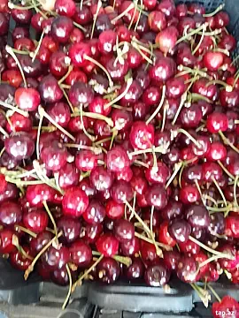 Satılır torpaq sahəsi — Quba