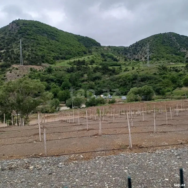 Kirayə verilir 3 otaqlı həyət evi 130 m²