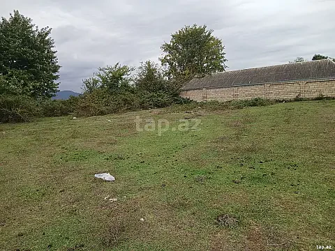 Satılır torpaq sahəsi — Astara