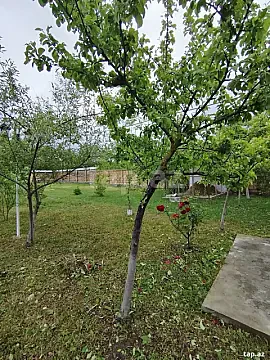 Satılır torpaq sahəsi — Qəbələ