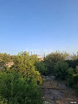 Satılır torpaq sahəsi — Bakı, Şıxov