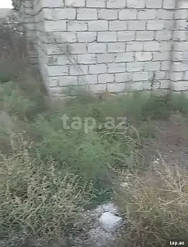Satılır 1 otaqlı həyət evi 85 m² — Bakı, Maştağa 1 otaq 85.00 m²