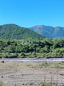 Satılır torpaq sahəsi — Qəbələ