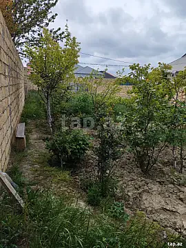 Satılır torpaq sahəsi — Sumqayıt, Saray