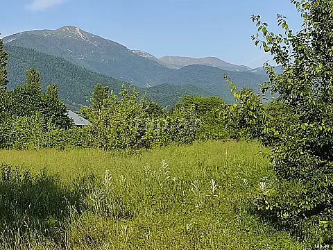Satılır torpaq sahəsi — İsmayıllı